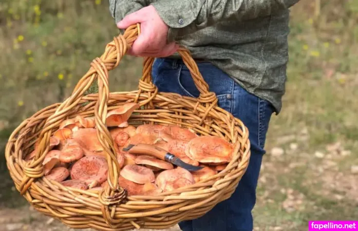 Magicmushroom Main Profile Photo