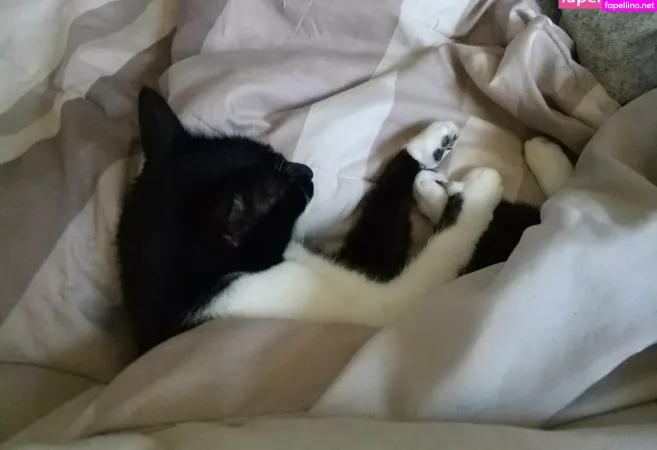 Magnea OnlyFans Thumbnail #CfeGYVVcSR