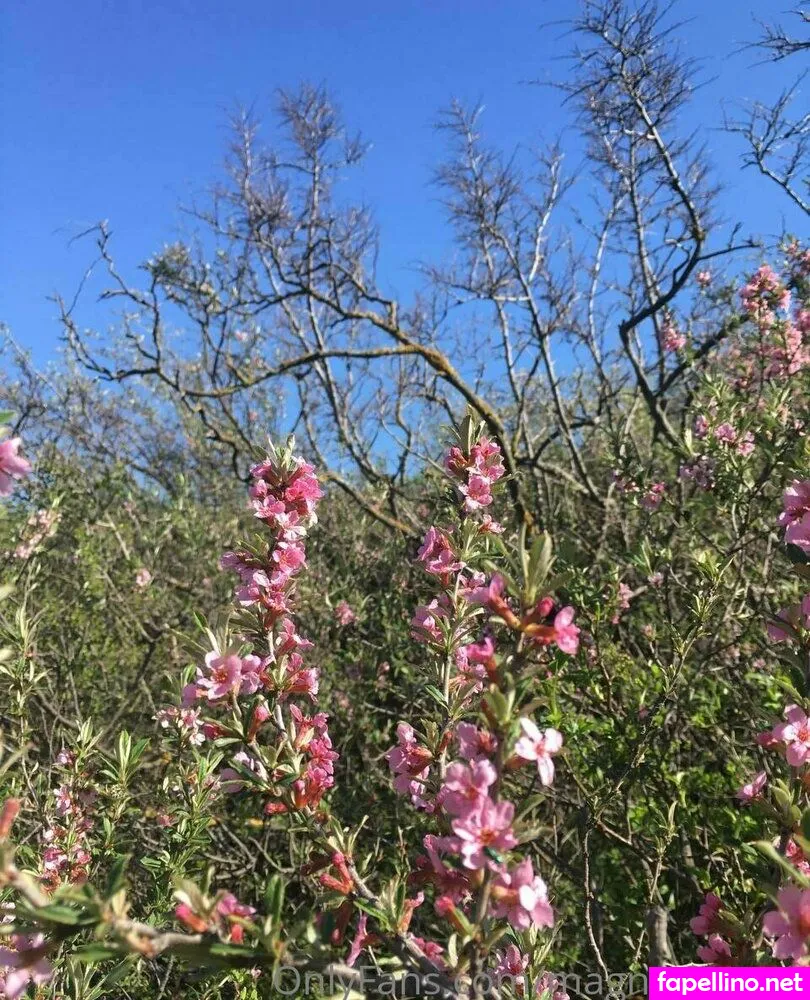 magnetic_ami Nude Leaked OnlyFans Photo #BEyycaobVp