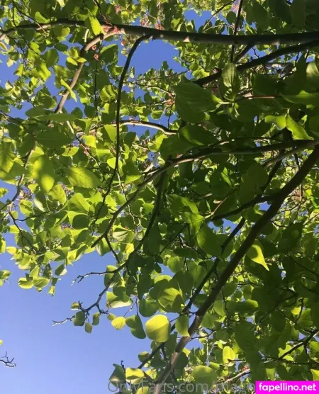 Magnetic Ami OnlyFans Thumbnail #bd8llKcaZv