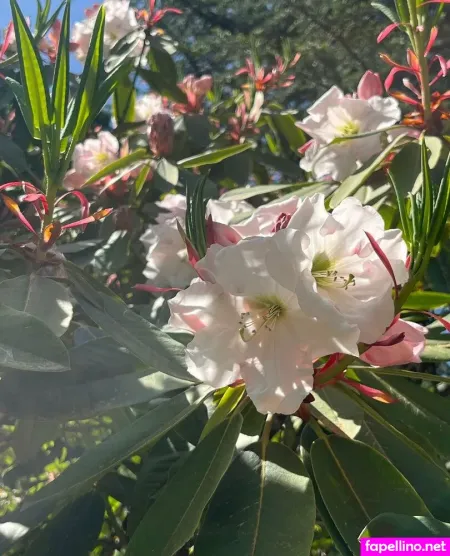 Makisbed OnlyFans Thumbnail #CpCGTzj45O