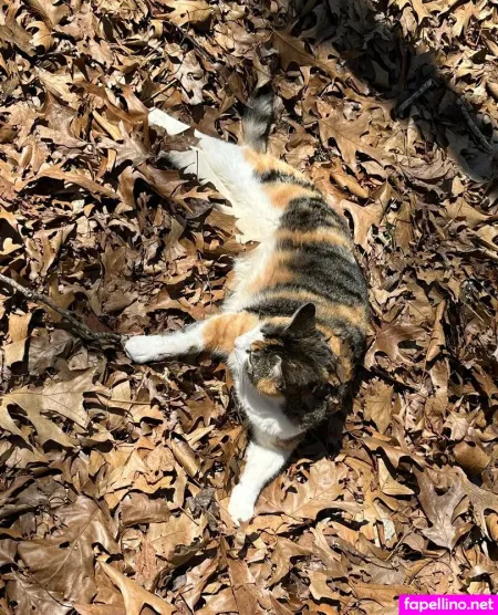 Makisbed OnlyFans Thumbnail #E1KpWdlQre