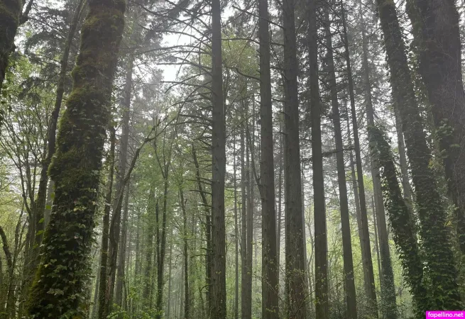 Makisbed OnlyFans Thumbnail #Kn0up7Aj5G