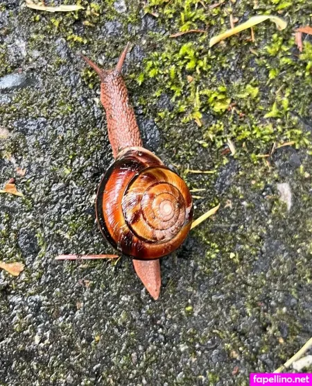 Makisbed OnlyFans Thumbnail #fpr5FZilNK