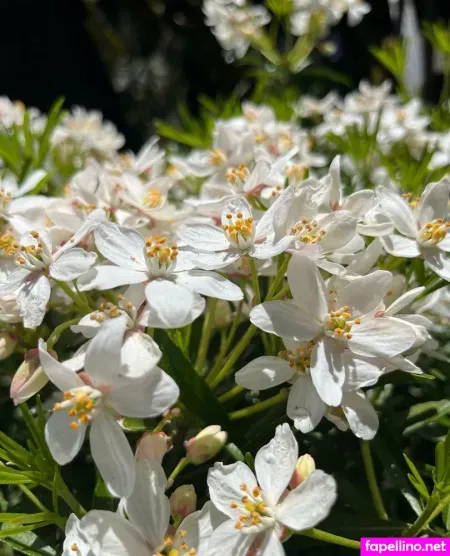 Makisbed OnlyFans Thumbnail #s8ofYs2OrA