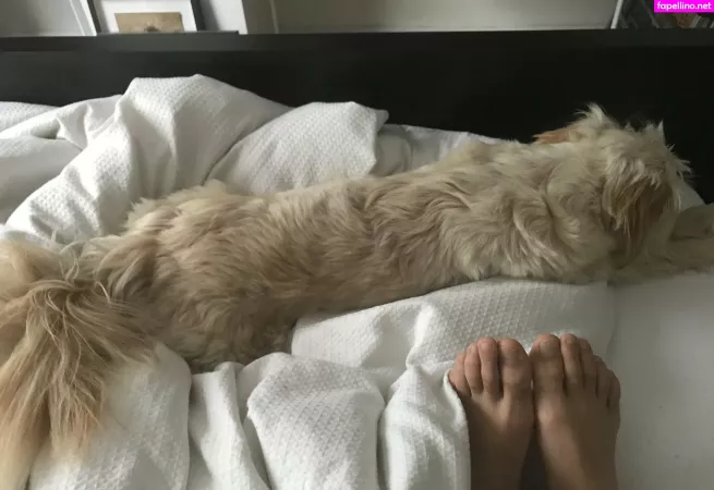 Male Feet Uk OnlyFans Thumbnail #6iYAVhEYHb