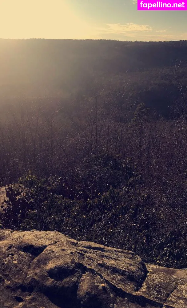 malloypanda, malloypandaxo Nude Leaked OnlyFans Photo #33553ziXCv