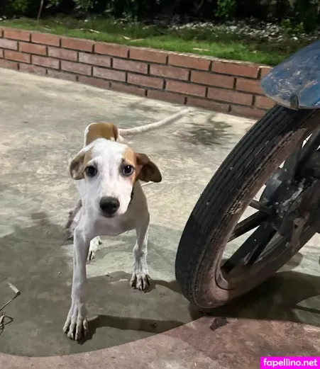 Mamellows OnlyFans Thumbnail #mGtXRDq2q6