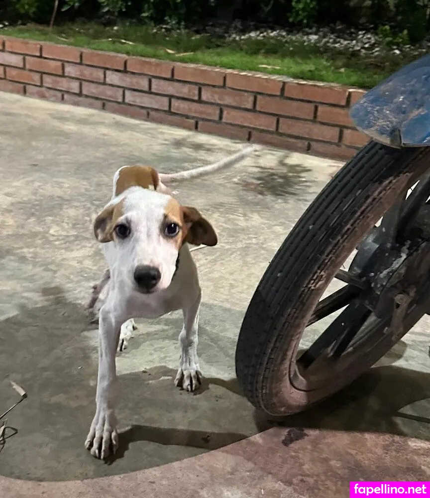 mamellows, marthamellows Nude Leaked OnlyFans Photo #mGtXRDq2q6