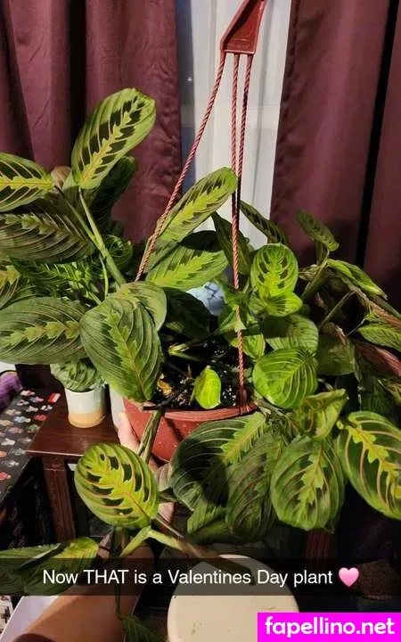 Mamma Ria OnlyFans Thumbnail #lLgKpWbQLr