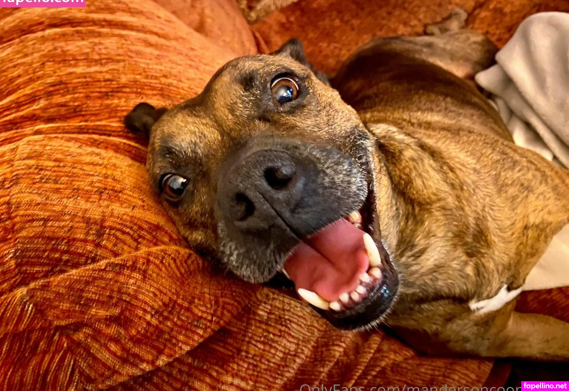 mandersoncooperfree, patfreeman_ Nude Leaked OnlyFans Photo #GAJYiohJK5