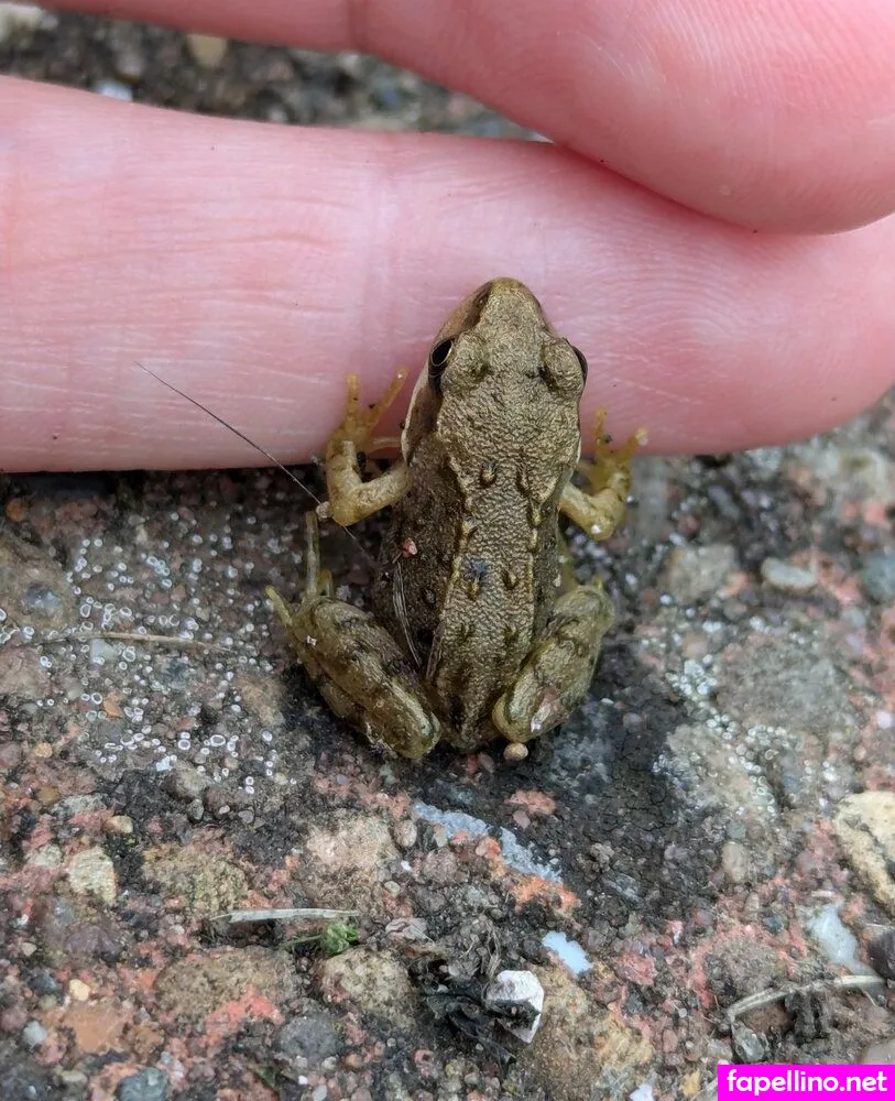 maplemooncosplay Nude Leaked OnlyFans Photo #7dxtlk0DcW