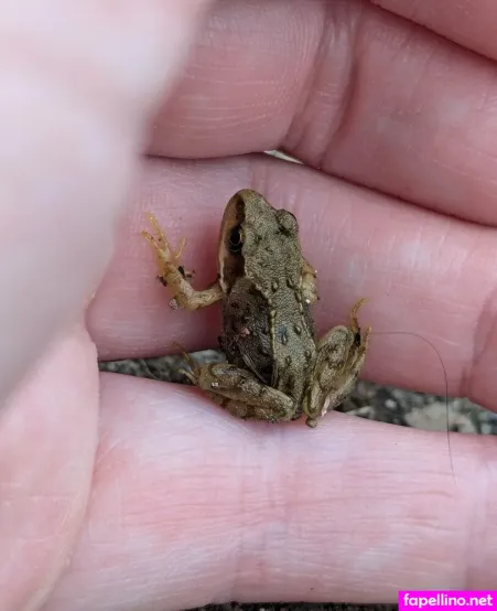 Maplemooncosplay OnlyFans Thumbnail #IEIiaOiRFJ