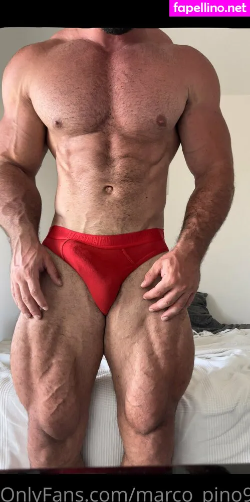 marco_pino91 Nude Leaked OnlyFans Photo #zuONpFUmV7