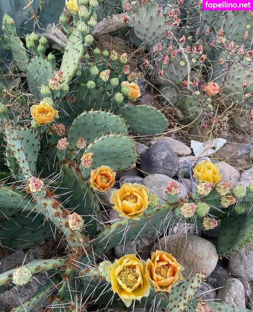 margofieldsx, margokisss Nude Leaked OnlyFans Photo #nwDMzSw5h5