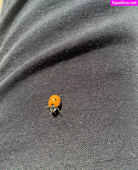 Margotdeveraux OnlyFans Thumbnail #eW8RHT2q7i