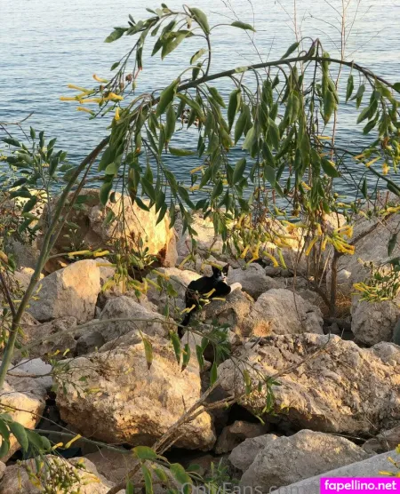 Mari Myr OnlyFans Thumbnail #U5JFEiXxIr