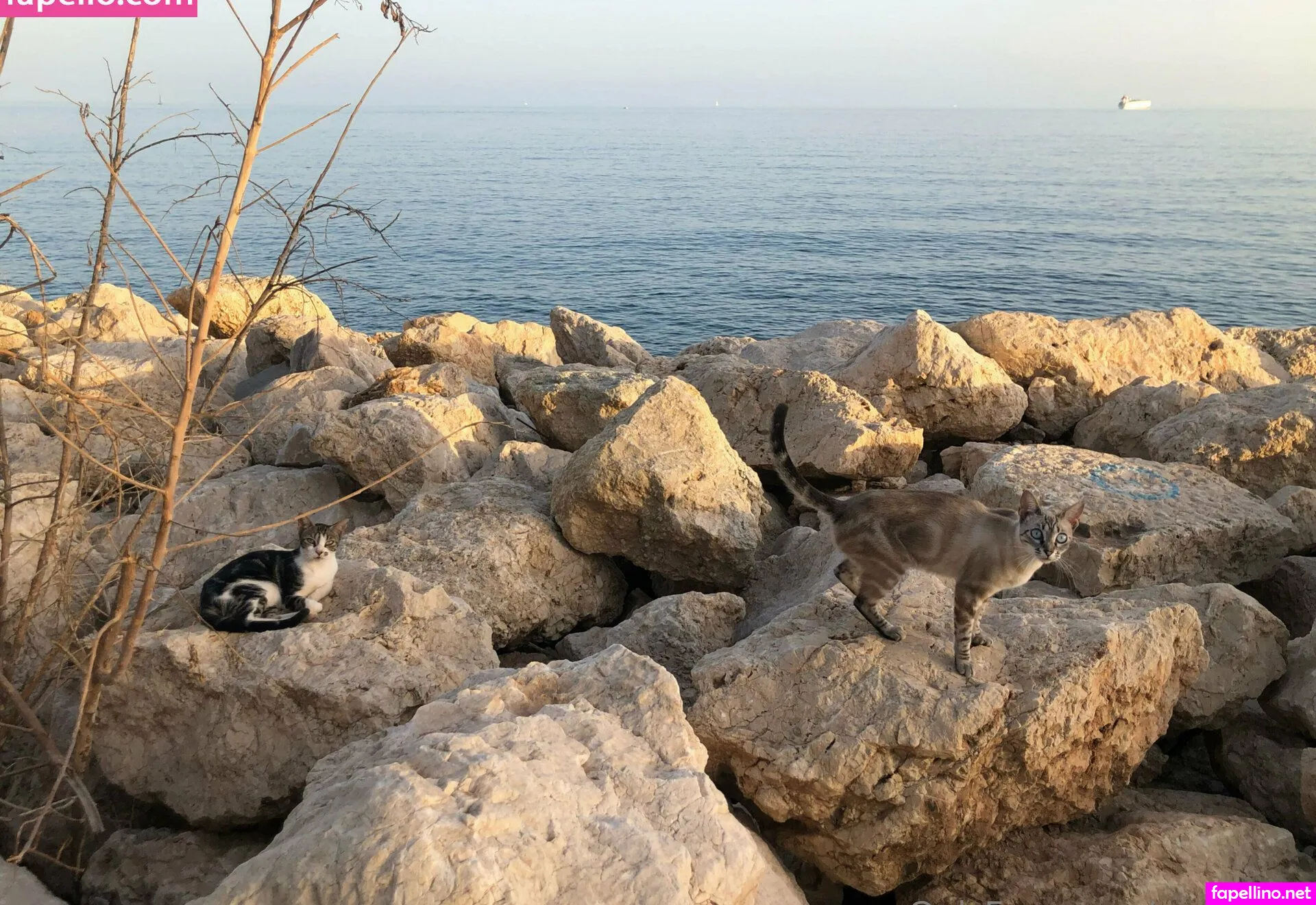 mari_myr, mari_myr___ Nude Leaked OnlyFans Photo #p8Yxsw8Kgt