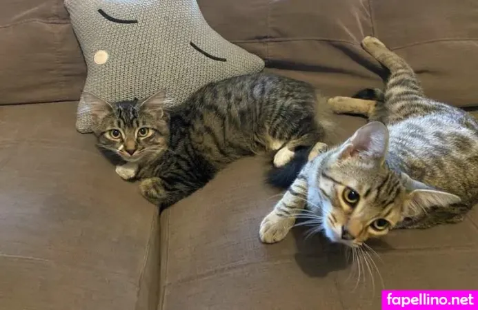 Marigold Sunrise OnlyFans Thumbnail #EEORnoPRN5