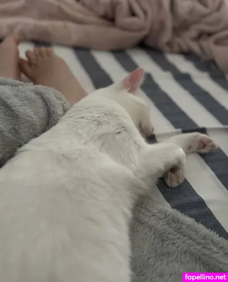 Mariimisu OnlyFans Thumbnail #ZDSYVbLOVa