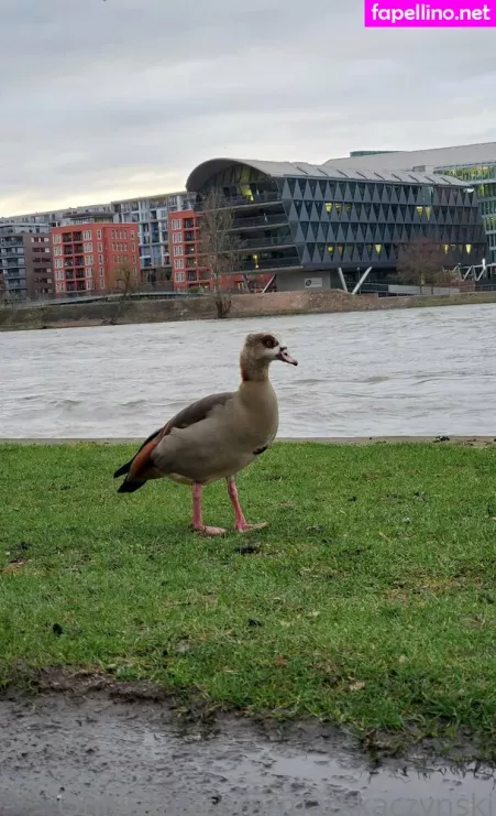 Markkaczynski OnlyFans Thumbnail #3Kcn6uUbJ8