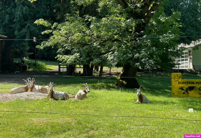 Marstonhefner OnlyFans Thumbnail #A7Std2vcRP