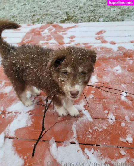 Marymoonkat OnlyFans Thumbnail #gnN0Y73Xtz