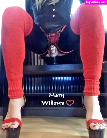 Marywillows OnlyFans Thumbnail #j7qynsftks