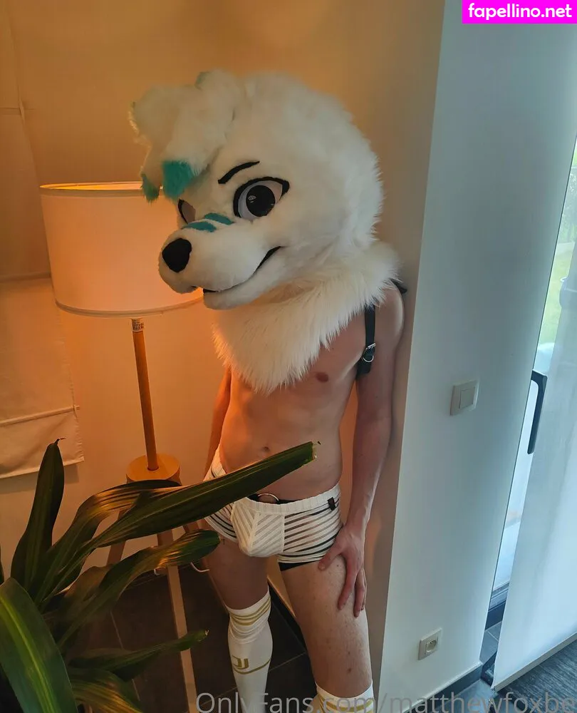 matthewcfox, matthewfoxbe Nude Leaked OnlyFans Photo #grlXc4NdLT