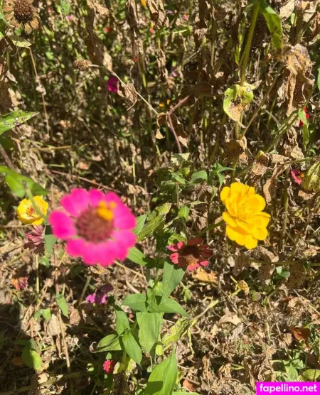 Matthewreed65 OnlyFans Thumbnail #xXxXSlU1ik