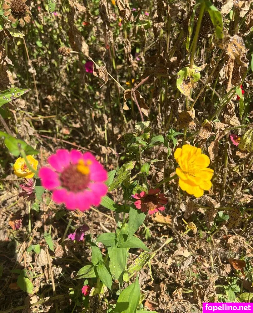 matthewreed65 Nude Leaked OnlyFans Photo #xXxXSlU1ik