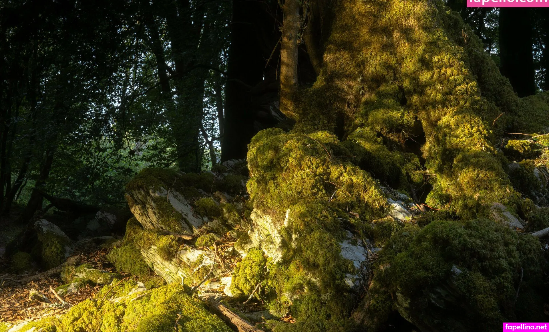 maximus7871 Nude Leaked OnlyFans Photo #SAsvZs1Hqh