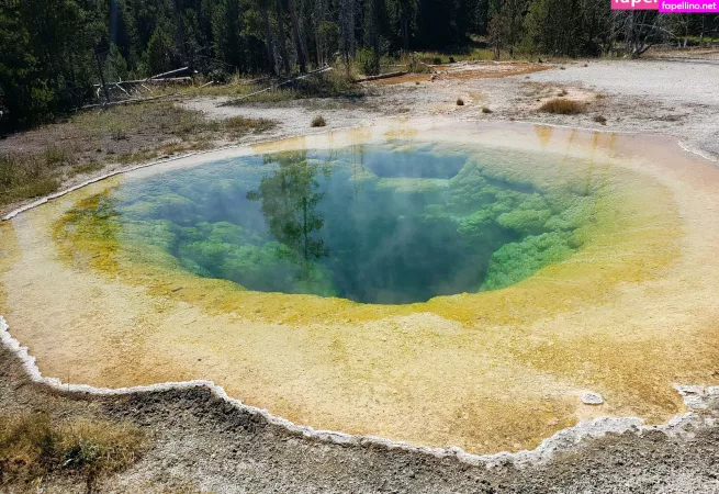 Mccoywhatsername OnlyFans Thumbnail #qyhYDwQUUl