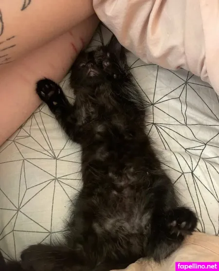 Medisiren OnlyFans Thumbnail #DcW8Nqt5Bi