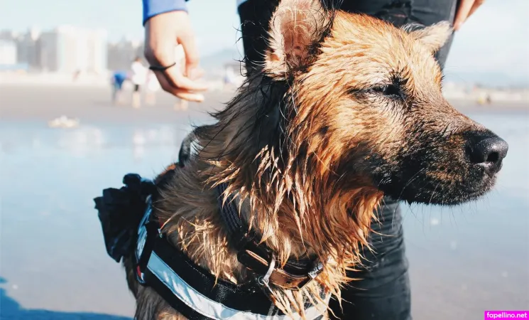 Megankinley OnlyFans Thumbnail #nsiRMgfizF