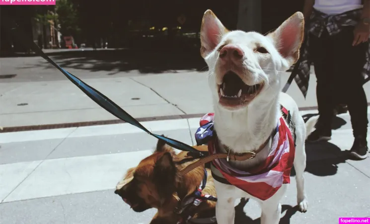 Megankinley Main Profile Photo