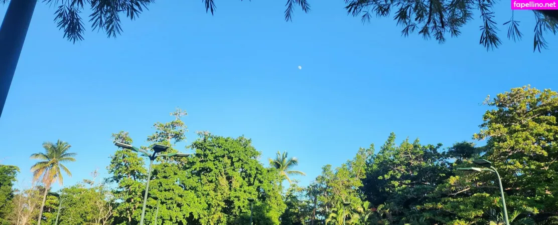 Meganlife OnlyFans Thumbnail #T13ka7qZGX