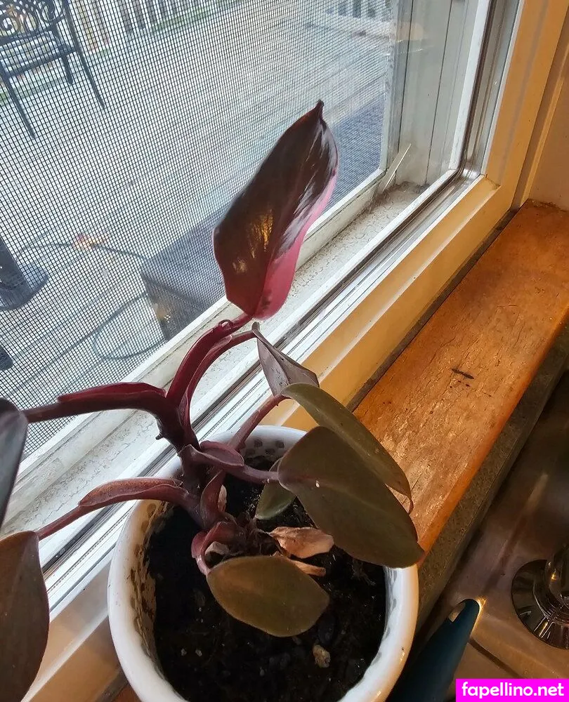 Megatits69420 Nude Leaked OnlyFans Photo #oHR3TYdAkg