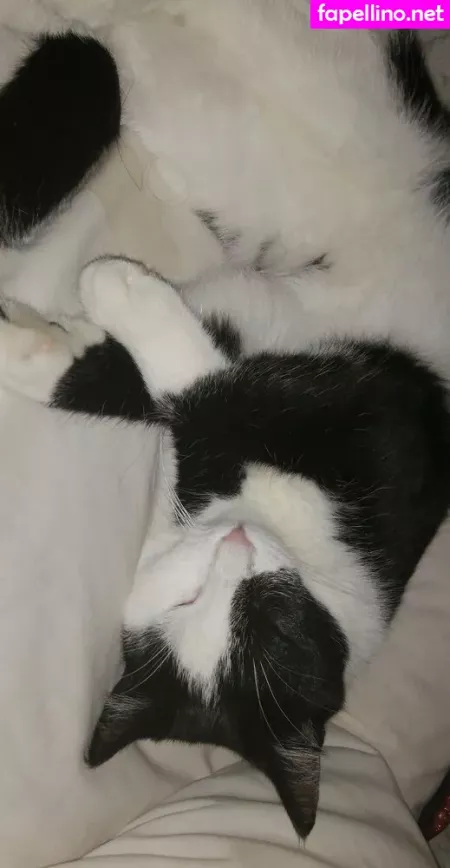 Megfish OnlyFans Thumbnail #KoZmzDsmGw