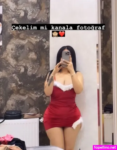 Melek Azad photo