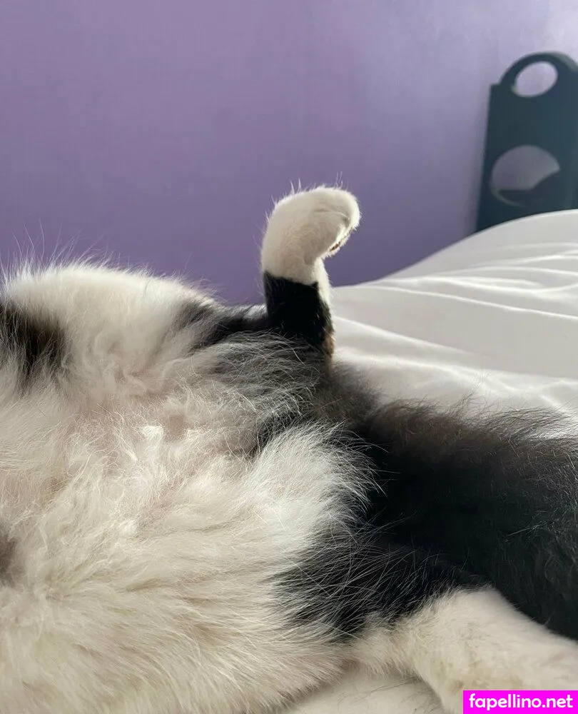 melowo.owo Nude Leaked OnlyFans Photo #DMVPPXVzh1