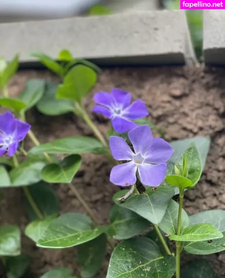 Menarepotatoes OnlyFans Thumbnail #sAU4Ojwb54