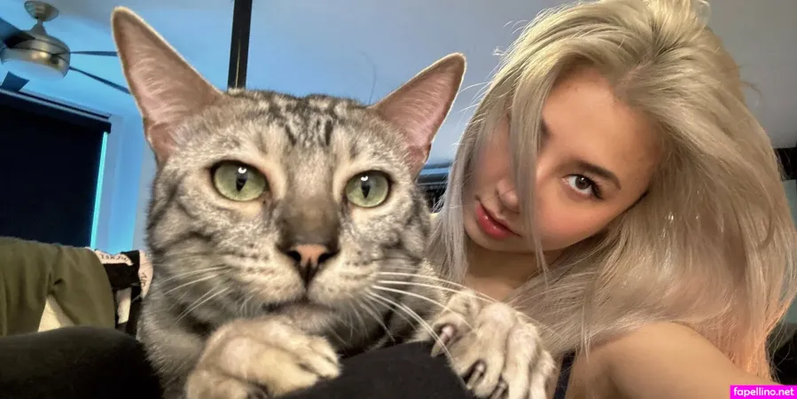 Meow Meow Tv OnlyFans Thumbnail #dXaeSx3XGT