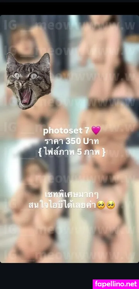 , Mo_meowwwww.w, __meowwwww.w, meowmint0 Nude Leaked OnlyFans Photo #qU6maFy6ng