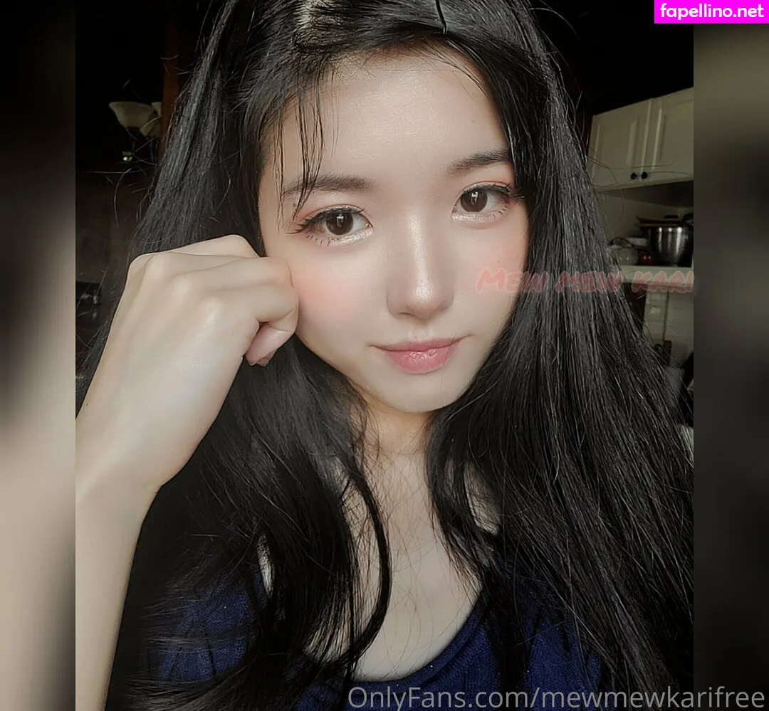 mewmewkarifree Nude Leaked OnlyFans Photo #TWwSAwy4vB