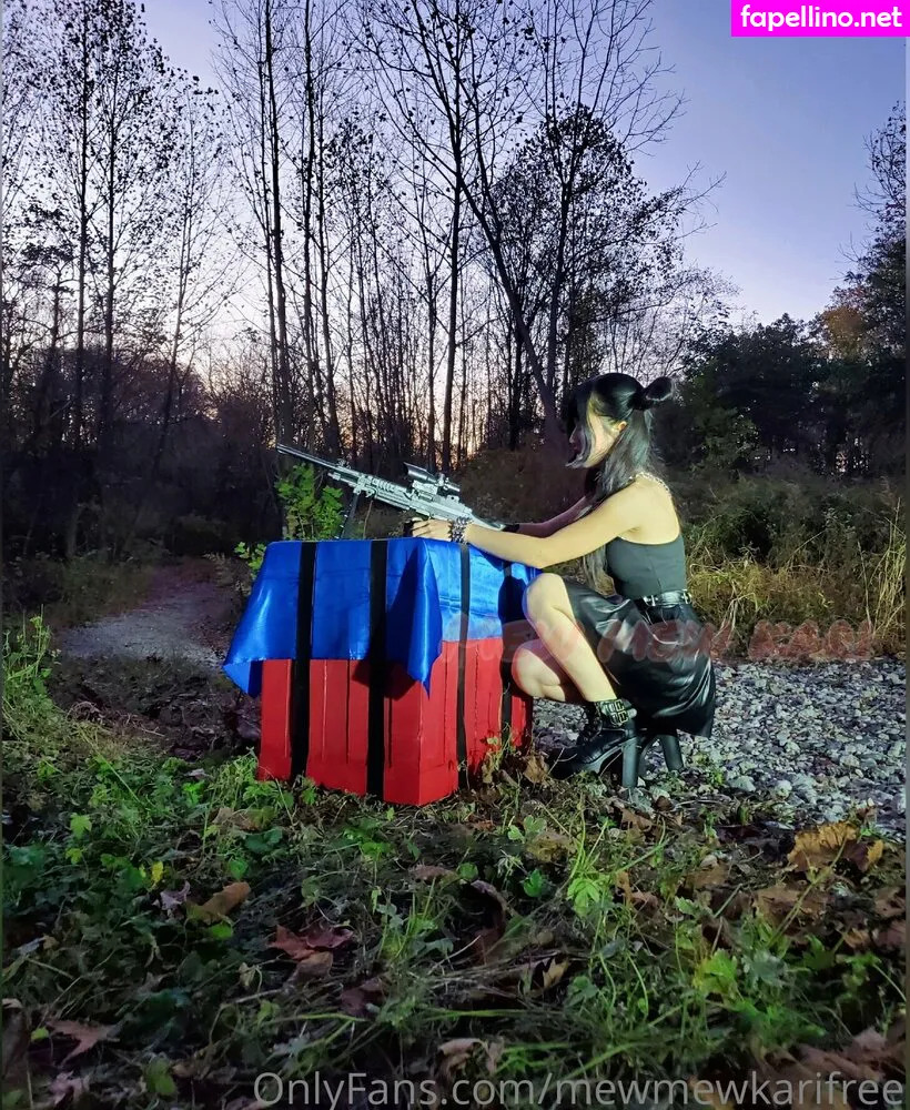 __ffrenchfries__, mewmewkarifree Nude Leaked OnlyFans Photo #Ib1f42icTc