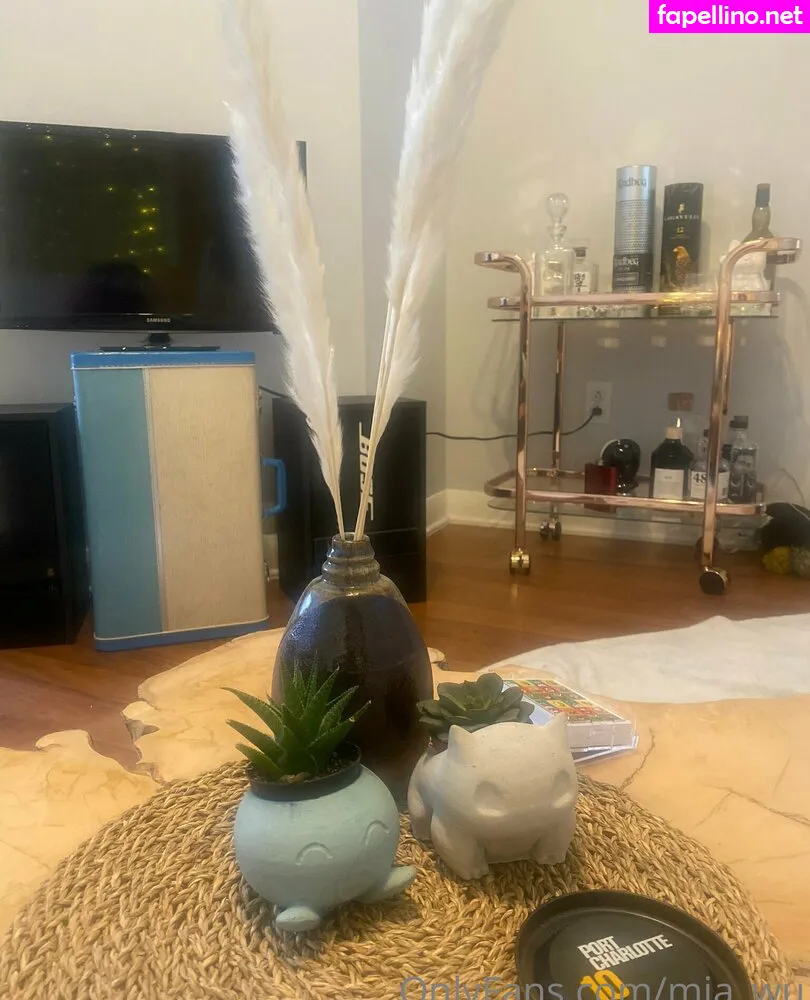 mia_wu, mia_wu33 Nude Leaked OnlyFans Photo #fAFgiMFuyy