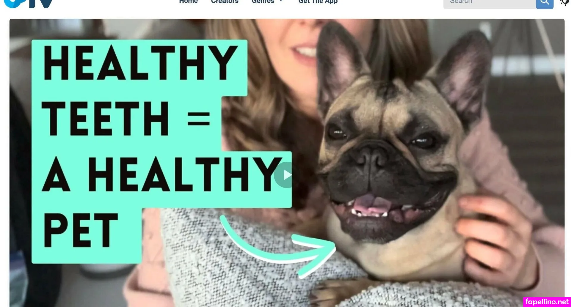 michelleandmila Nude Leaked OnlyFans Photo #p32nsKygi4