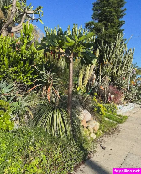 Mickey OnlyFans Thumbnail #bG2yumiwHj