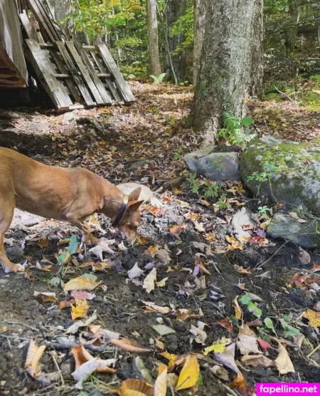 Mickey OnlyFans Thumbnail #gh2asIHbJy